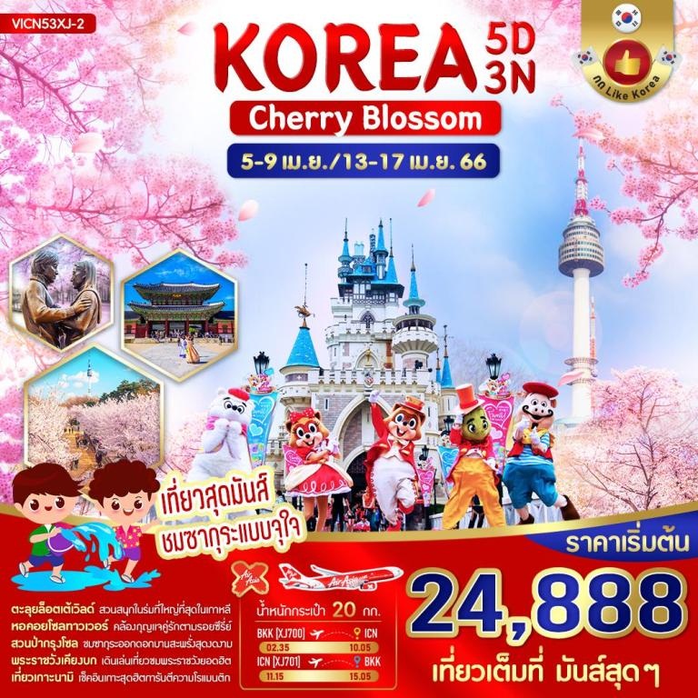 KOREA CHERRY BLOSSOM